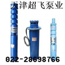 天津潛水電機(jī)，天津潛水泵