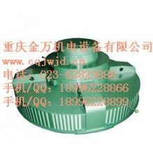 T、TL系列電機(jī)