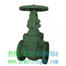 日本滔辰R-CGV-A鑄鐵明桿閘閥