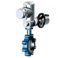 德國ARI進(jìn)口電動(dòng)蝶閥