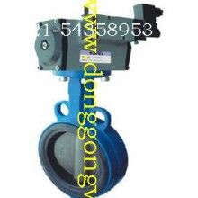 5046氣動驅(qū)動蝶閥，ROFES